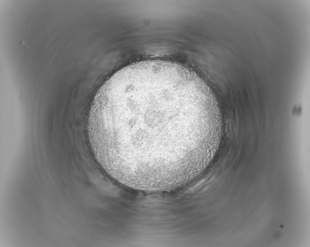 X0000093151393200710241353