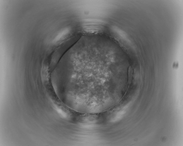 X0000093151394200710241353