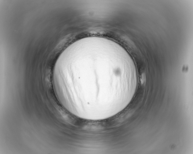 X0000093151396200710241353