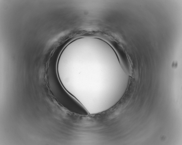 X0000093151398200710241353