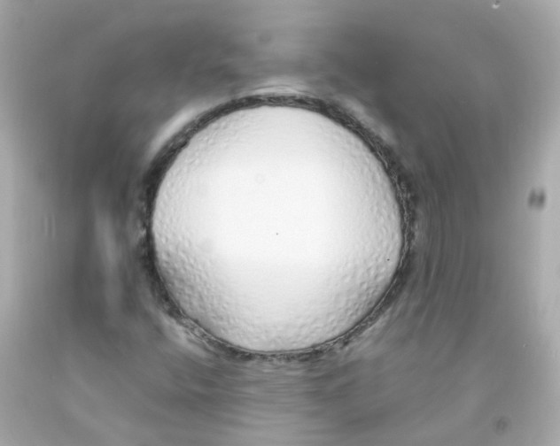 X0000093151400200710241353