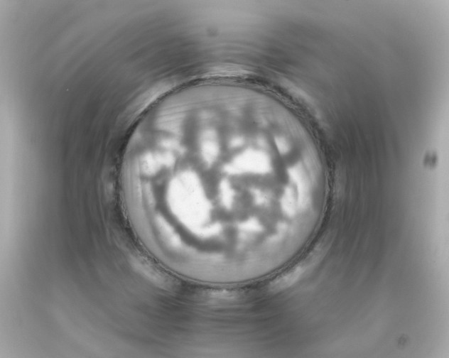 X0000093151401200710241353