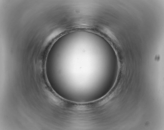 X0000093151402200710241353