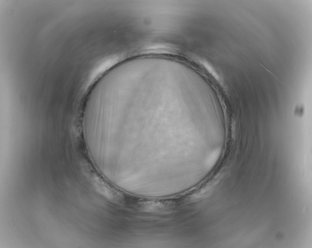 X0000093151405200710241353