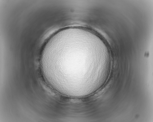 X0000093151407200710241353