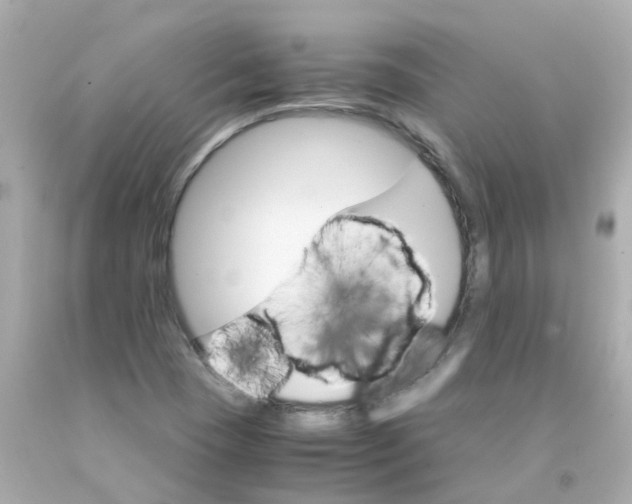 X0000093151409200710241353