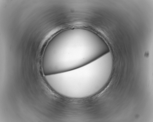 X0000093151410200710241353