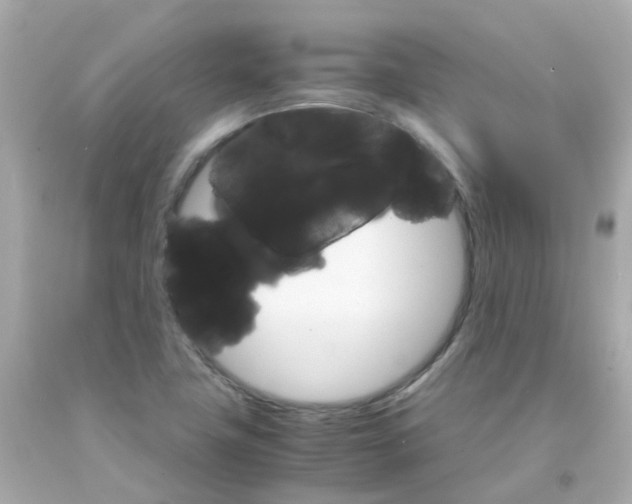 X0000093151411200710241353