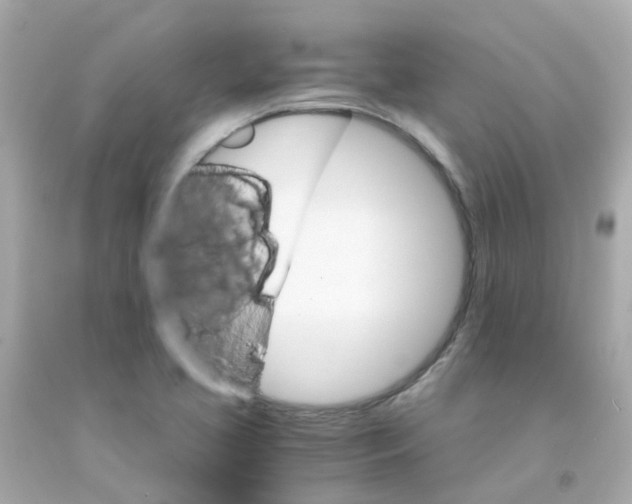 X0000093151413200710241353