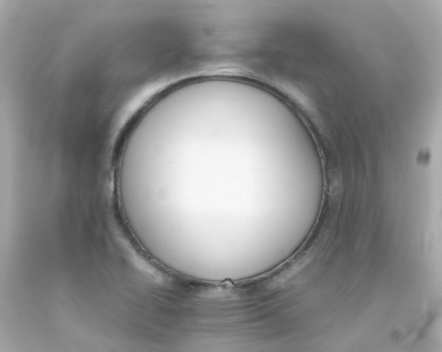 X0000093151414200710241353