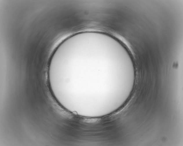 X0000093151415200710241353