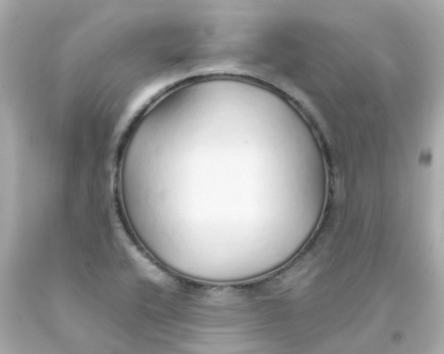 X0000093151416200710241353