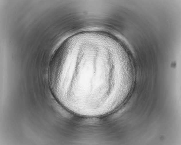 X0000093151417200710241353