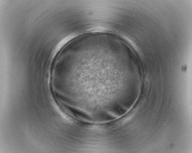 X0000093151418200710241353