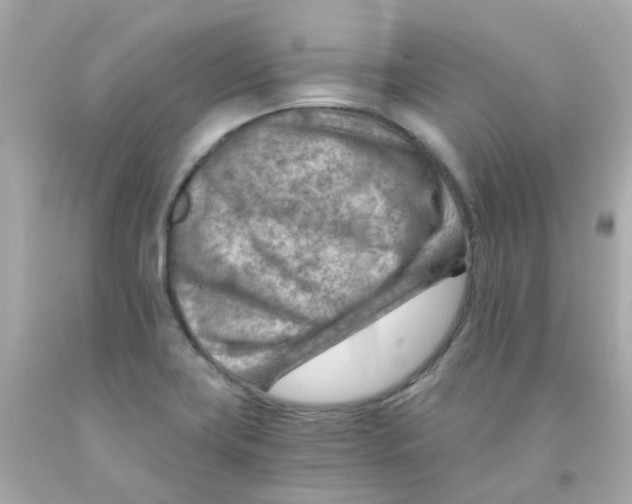 X0000093151419200710241353