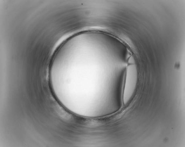 X0000093151420200710241353