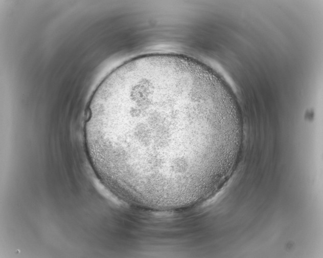 X0000093151421200710241353