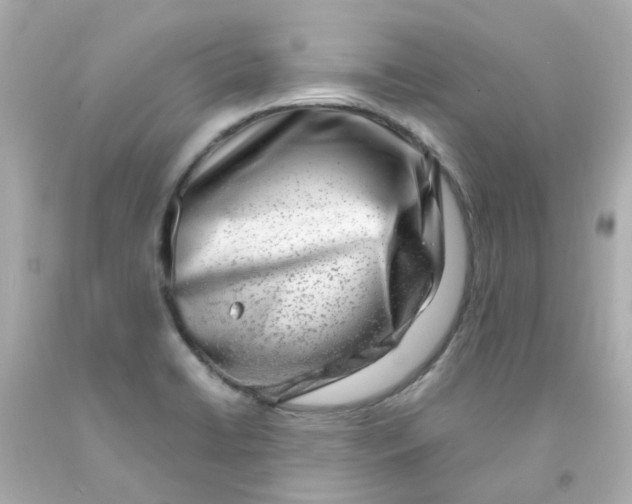 X0000093151422200710241353