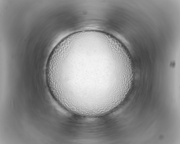 X0000093151423200710241353