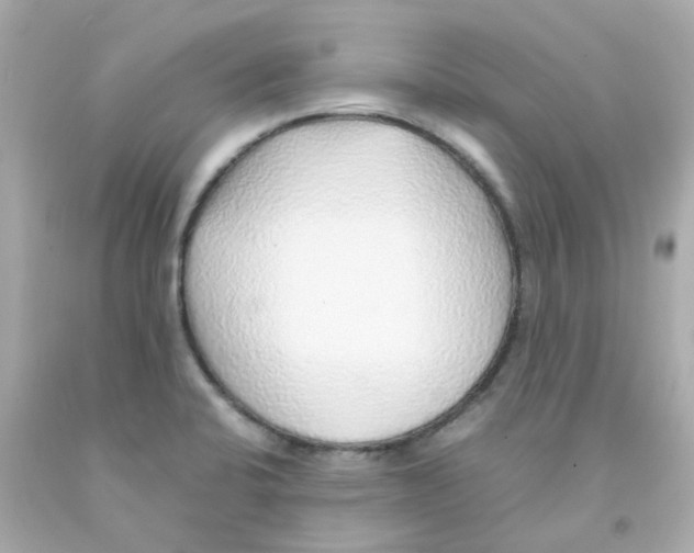 X0000093151424200710241353