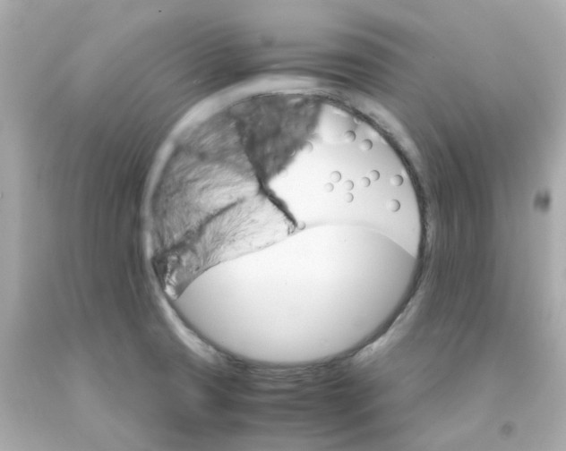 X0000093151425200710241353