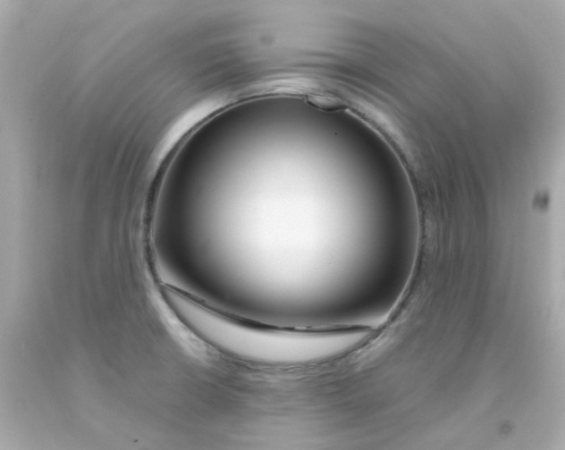 X0000093151426200710241353