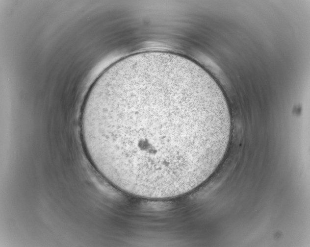 X0000093151427200710241353