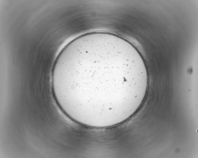 X0000093151428200710241353