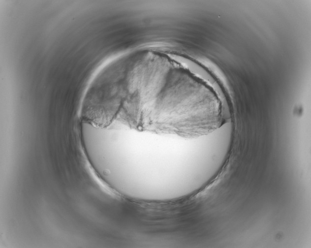 X0000093151429200710241353