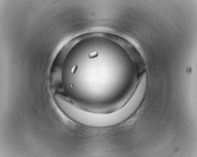 X0000093151430200710241353