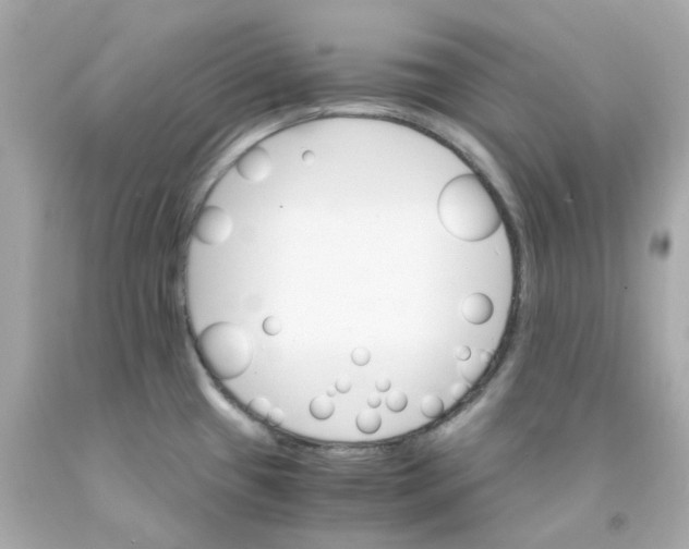 X0000093151433200710241353