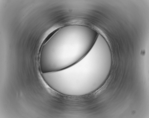 X0000093151434200710241353