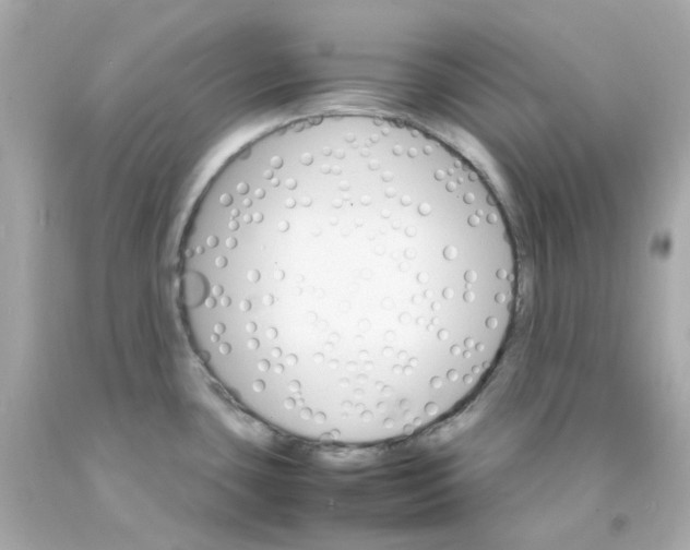 X0000093151435200710241353