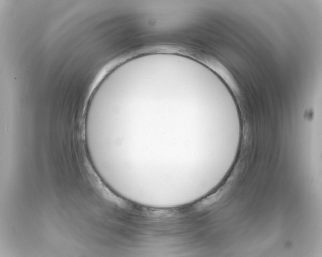 X0000093151436200710241353