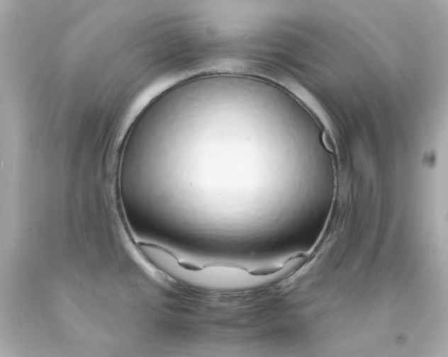 X0000093151437200710241353