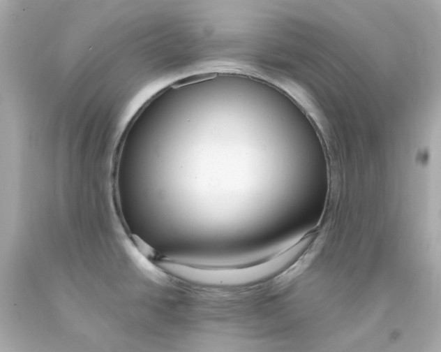 X0000093151438200710241353