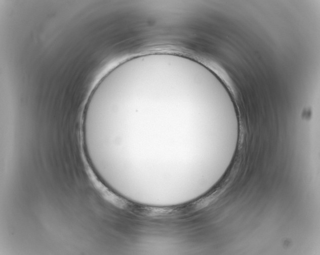 X0000093151439200710241353