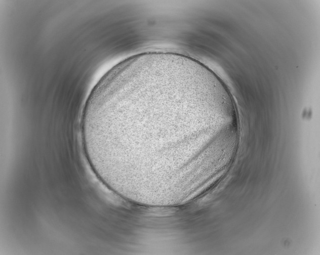 X0000093151440200710241353