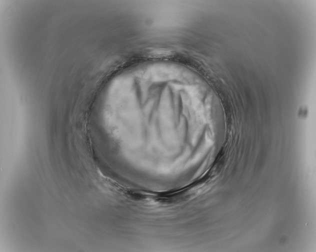 X0000093151441200710241353