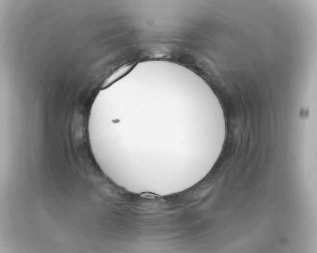 X0000093151442200710241353