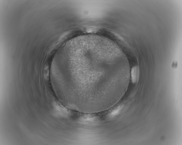 X0000093151443200710241353