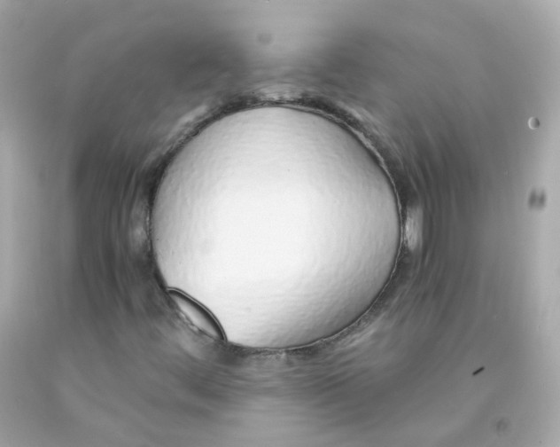 X0000093151444200710241353