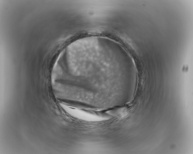 X0000093151445200710241353