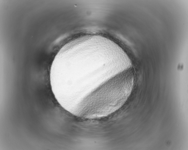 X0000093151446200710241353