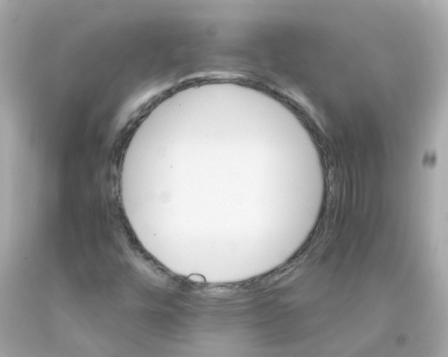 X0000093151448200710241353