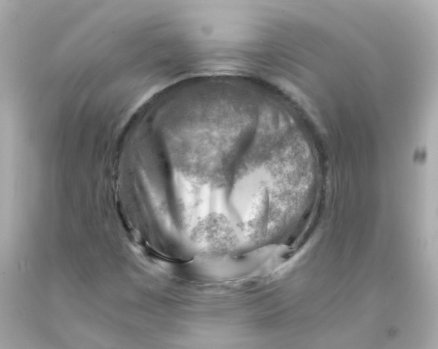 X0000093151449200710241353