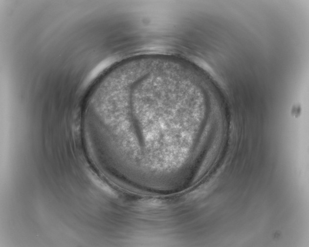 X0000093151450200710241353