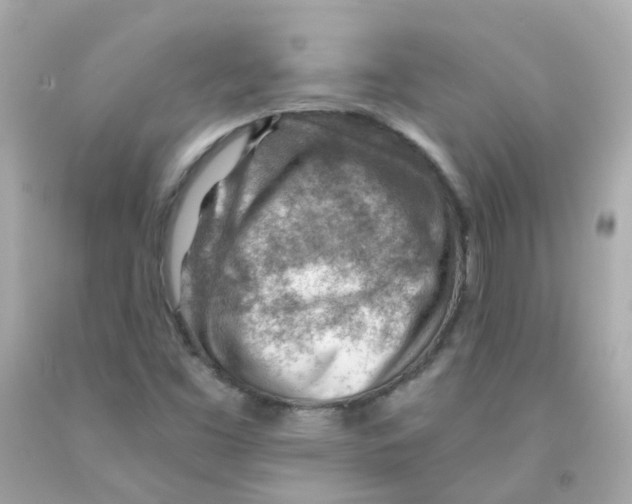 X0000093151453200710241353