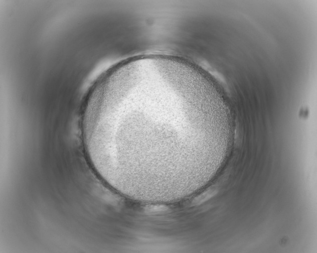 X0000093151454200710241353