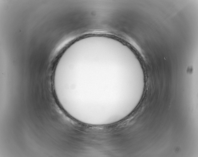 X0000093151456200710241353